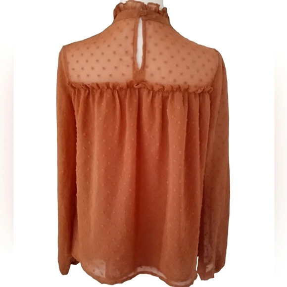 Altard State Long Sleeve Hollow Lace Baby Doll Swiss Dot Burnt Orange Size Small - Picture 2 of 7